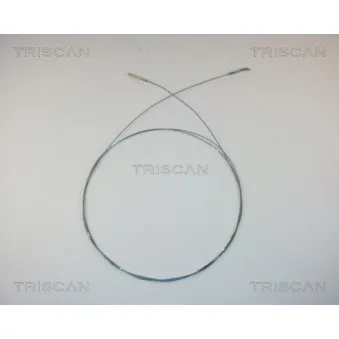 TRISCAN 8140 29315 - Câble d'accélération