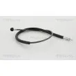 Câble flexible de commande de compteur TRISCAN [8140 38417]