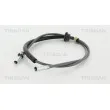 Câble flexible de commande de compteur TRISCAN [8140 70401]