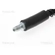 TRISCAN 8150 10130 - Flexible de frein