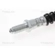 TRISCAN 8150 10130 - Flexible de frein