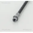 TRISCAN 8150 11222 - Flexible de frein
