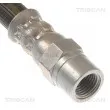 TRISCAN 8150 11246 - Flexible de frein