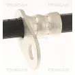 TRISCAN 8150 13397 - Flexible de frein