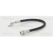 Flexible de frein TRISCAN [8150 13425]