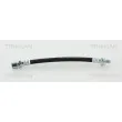 TRISCAN 8150 24208 - Flexible de frein