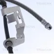 TRISCAN 8150 28253 - Flexible de frein