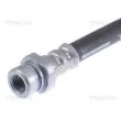TRISCAN 8150 28310 - Flexible de frein