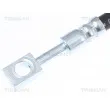 TRISCAN 8150 29359 - Flexible de frein