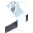 TRISCAN 8150 80117 - Flexible de frein