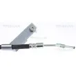 TRISCAN 8150 80340 - Flexible de frein