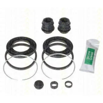 Kit de réparation, étrier de frein TRISCAN [8170 204521]