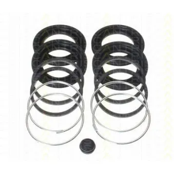 TRISCAN 8170 204534 - Kit de réparation, étrier de frein