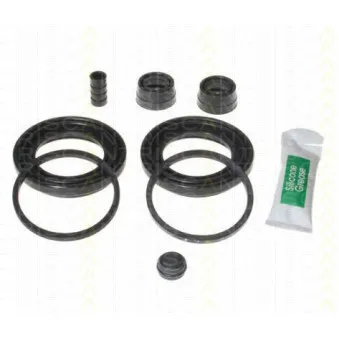 Kit de réparation, étrier de frein TRISCAN [8170 204613]