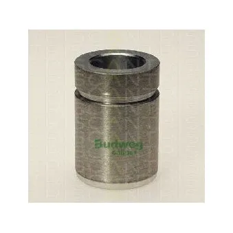 TRISCAN 8170 233206 - Piston, étrier de frein
