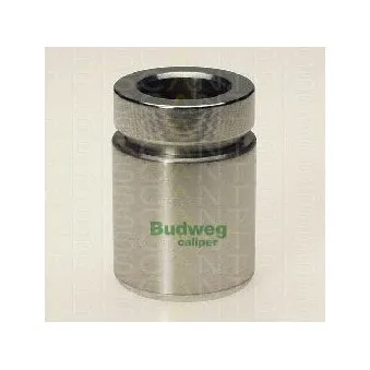 TRISCAN 8170 233413 - Piston, étrier de frein