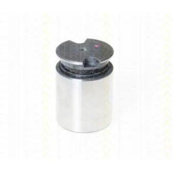 TRISCAN 8170 233634 - Piston, étrier de frein