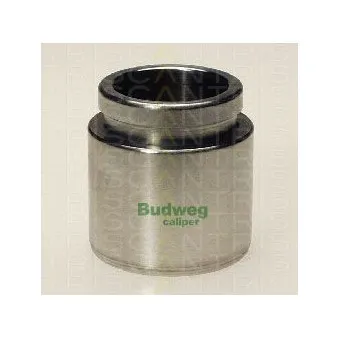 TRISCAN 8170 234320 - Piston, étrier de frein