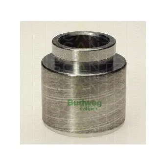 TRISCAN 8170 234518 - Piston, étrier de frein