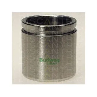 TRISCAN 8170 234842 - Piston, étrier de frein