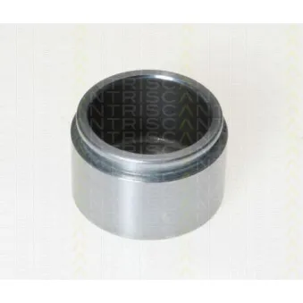 TRISCAN 8170 234870 - Piston, étrier de frein