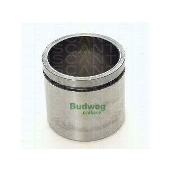 TRISCAN 8170 235728 - Piston, étrier de frein