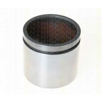 TRISCAN 8170 235739 - Piston, étrier de frein