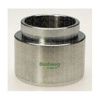 TRISCAN 8170 236025 - Piston, étrier de frein