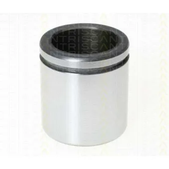 TRISCAN 8170 236041 - Piston, étrier de frein