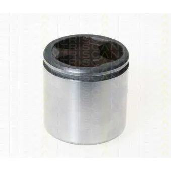 TRISCAN 8170 236046 - Piston, étrier de frein