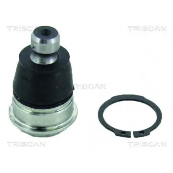 TRISCAN 8500 14552 - Rotule de suspension