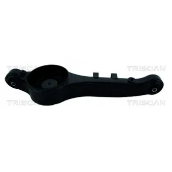 Triangle ou bras de suspension (train arrière) TRISCAN [8500 18530]