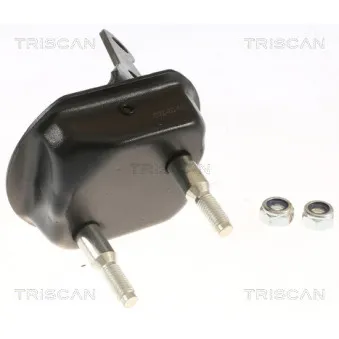 TRISCAN 8500 28534 - Support de palier, corps de l'essieu