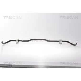 TRISCAN 8500 29685 - Stabilisateur, chassis
