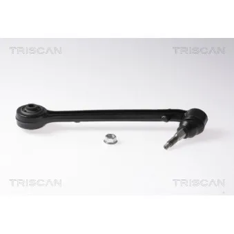 Triangle ou bras de suspension (train avant) TRISCAN [8500 80549]