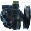 TRISCAN 8515 13603 - Pompe hydraulique, direction