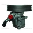 Pompe hydraulique, direction TRISCAN [8515 69602]