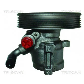 Pompe hydraulique, direction TRISCAN [8515 69602]