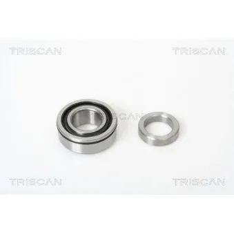 TRISCAN 8530 10206 - Roulement de roue arrière