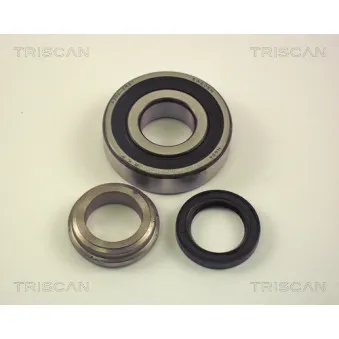 TRISCAN 8530 10210 - Roulement de roue arrière