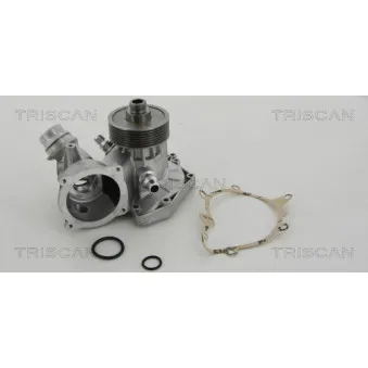 TRISCAN 8600 11031 - Pompe à eau
