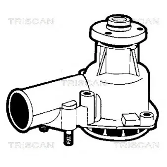TRISCAN 8600 15118 - Pompe à eau