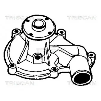 TRISCAN 8600 17805 - Pompe à eau