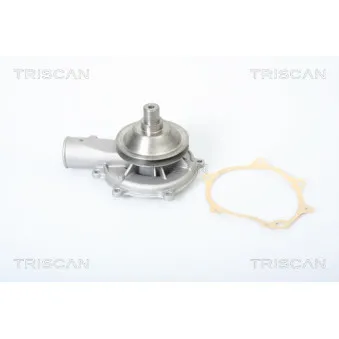 TRISCAN 8600 24007 - Pompe à eau