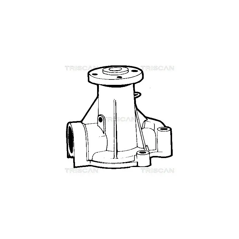 Pompe à eau TRISCAN 8600 27102 - Visuel 1