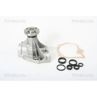TRISCAN 8600 27104 - Pompe à eau