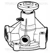 TRISCAN 8600 27104 - Pompe à eau
