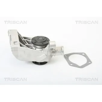 TRISCAN 8600 29036 - Pompe à eau