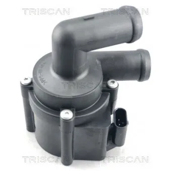 TRISCAN 8600 29077 - Pompe à eau