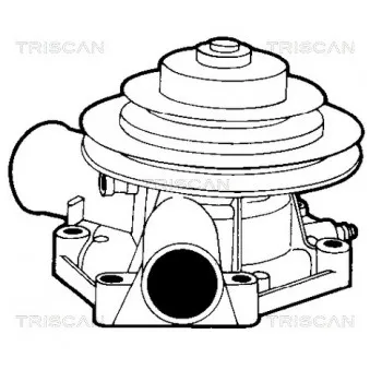 TRISCAN 8600 38406 - Pompe à eau